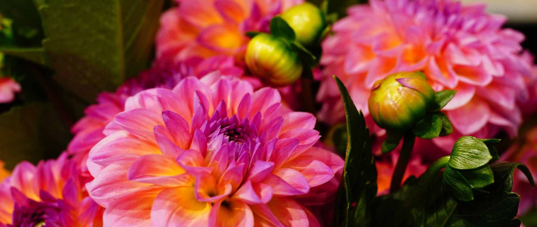Blumenstrauß versenden